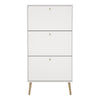 Cumbria Shoe Cabinet 3 flap Doors White