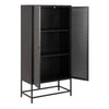 Newcastle 2 Door Cabinet in Matt Black